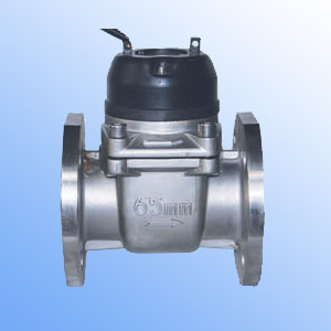 DN-65Hot water meter movement